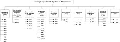 Assessing the impact of the COVID-19 pandemic on small and medium-sized enterprises performance